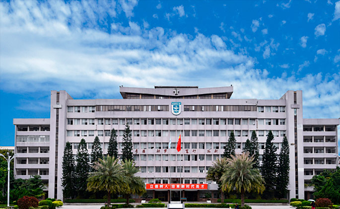 学历教育领域