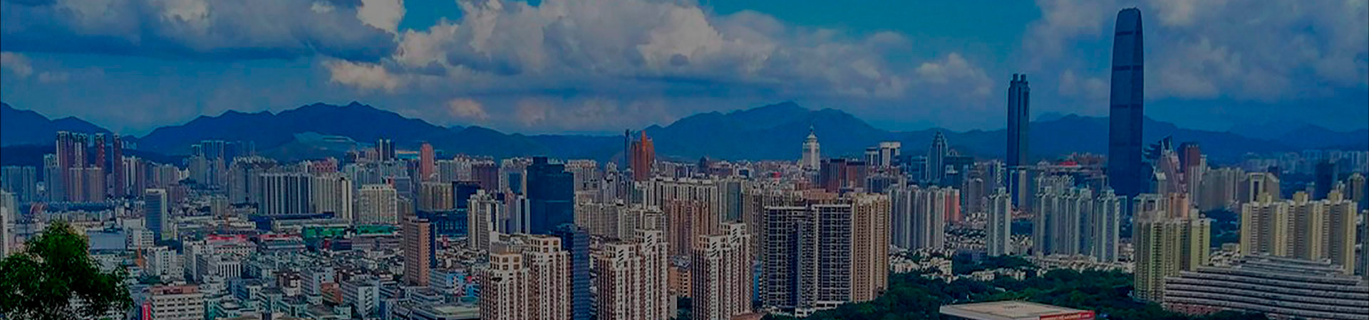 熊学新闻